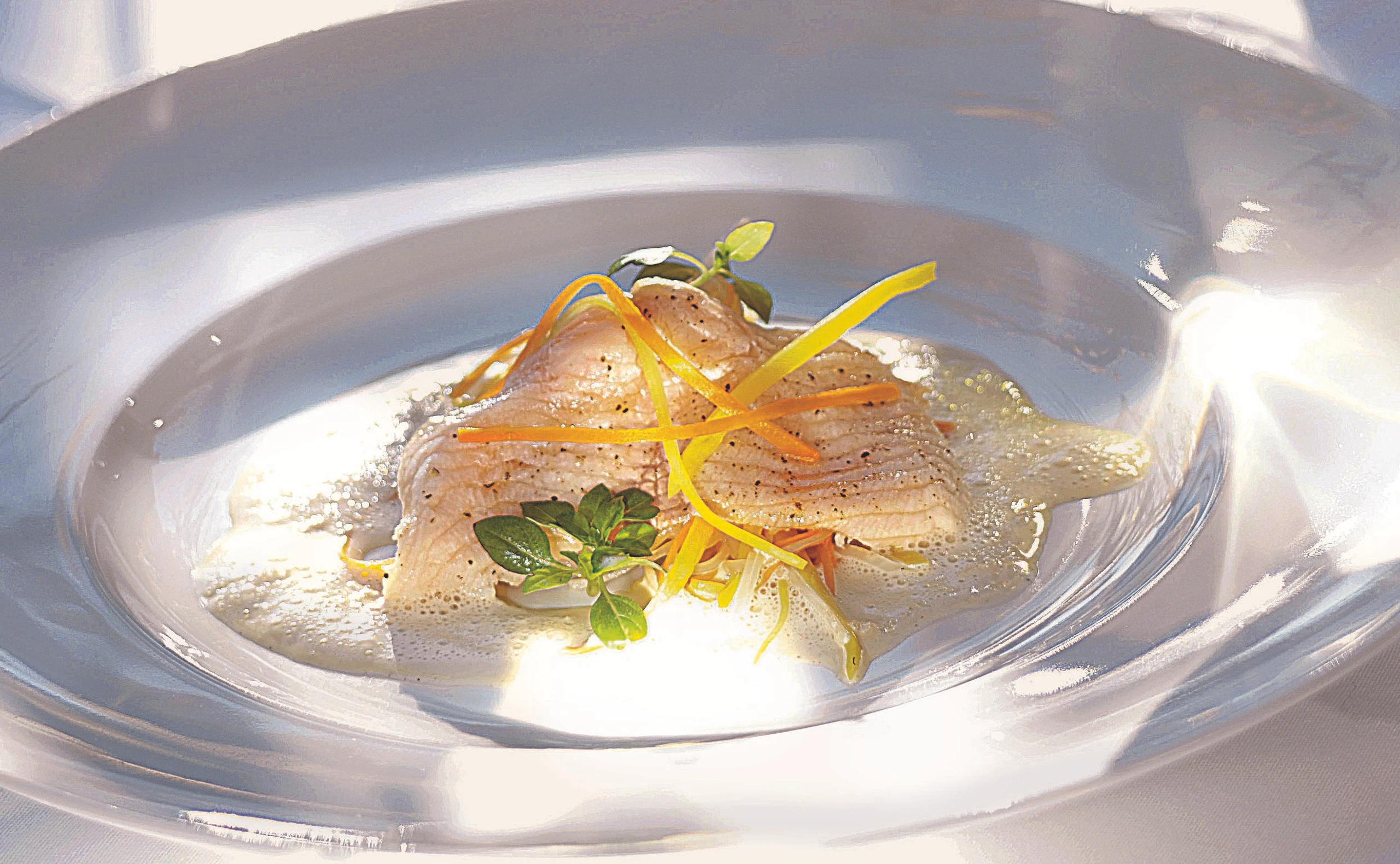 Gedämpfter Wurzelsaibling auf Krenfond