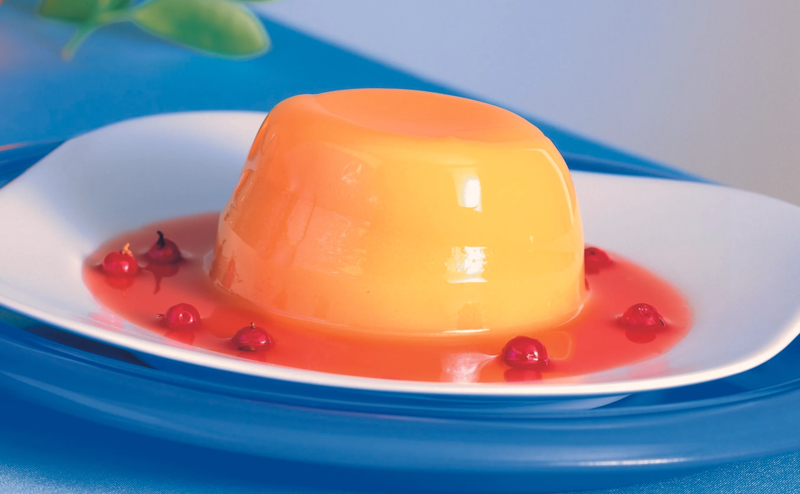 Mandarinen-Joghurt-Pudding mit Preiselbeersauce