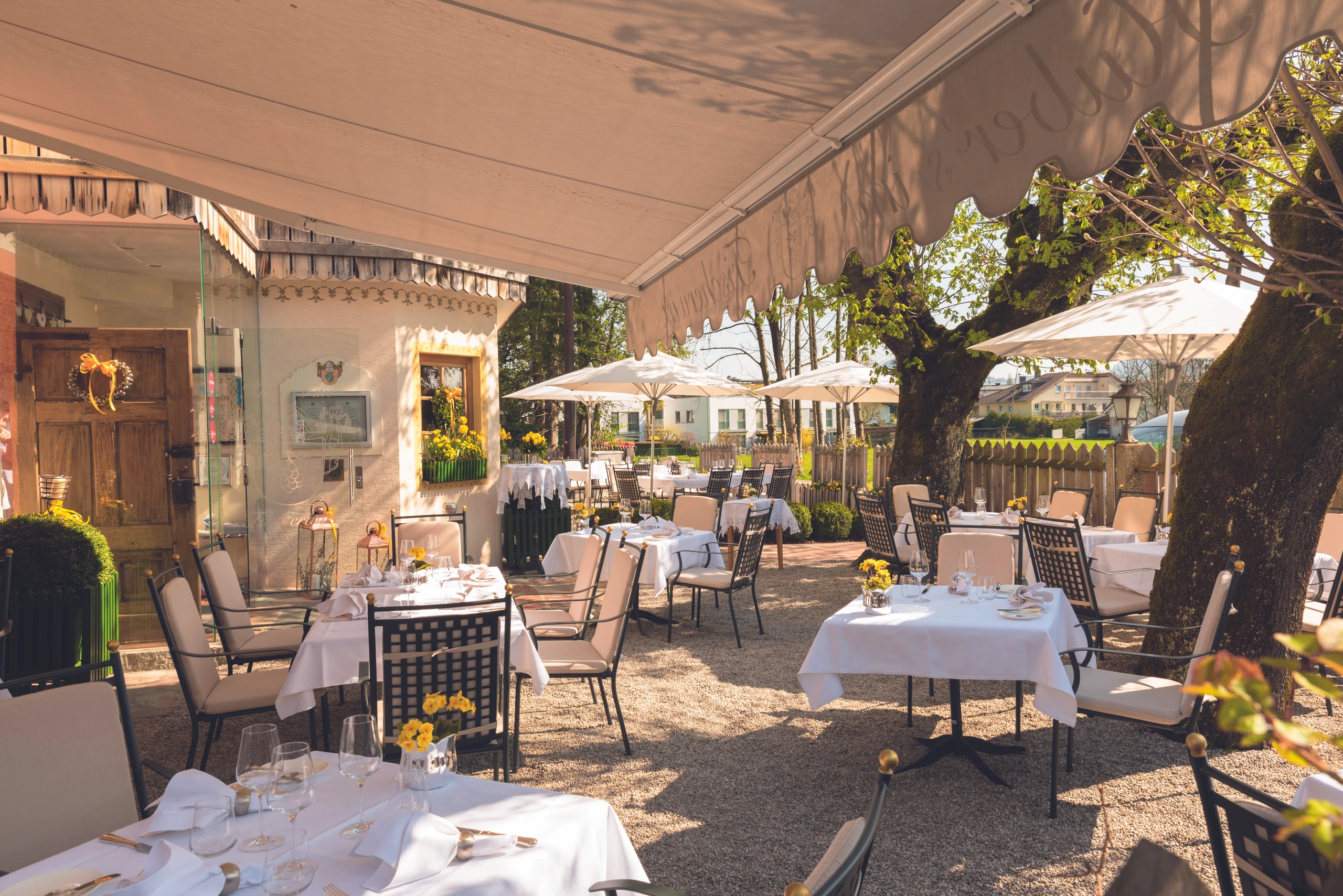 Blurred image background