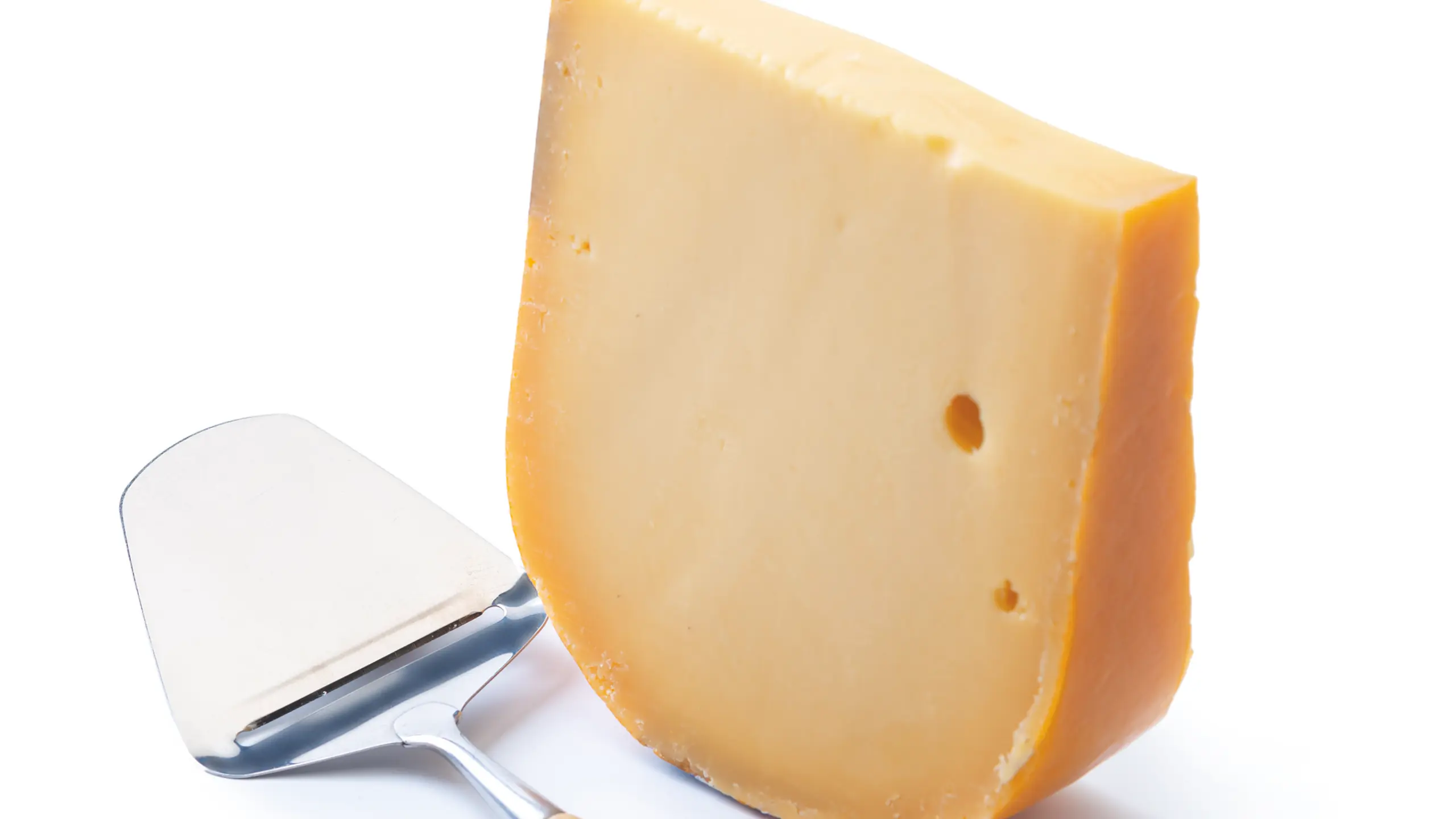 Gouda