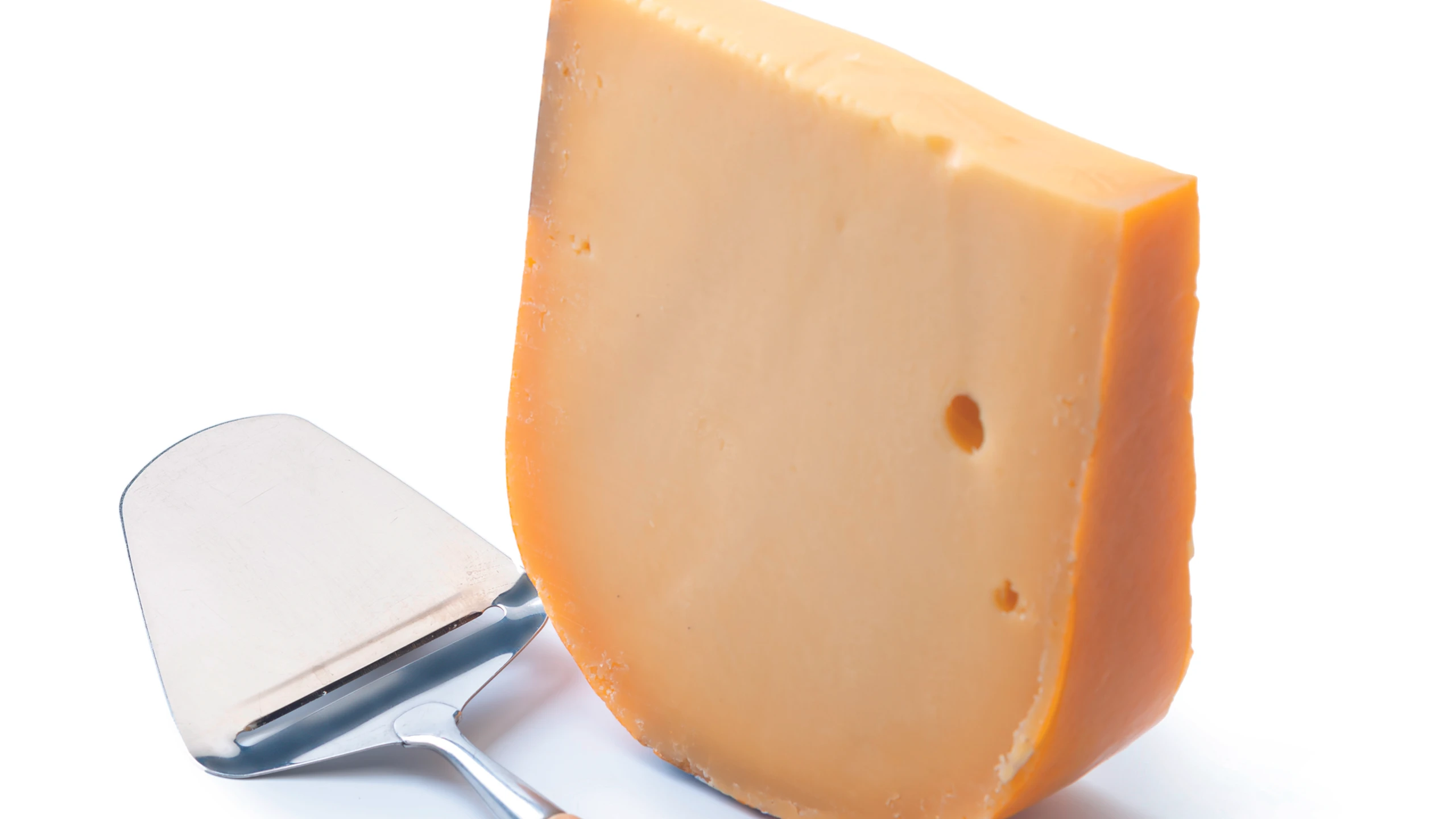 Gouda
