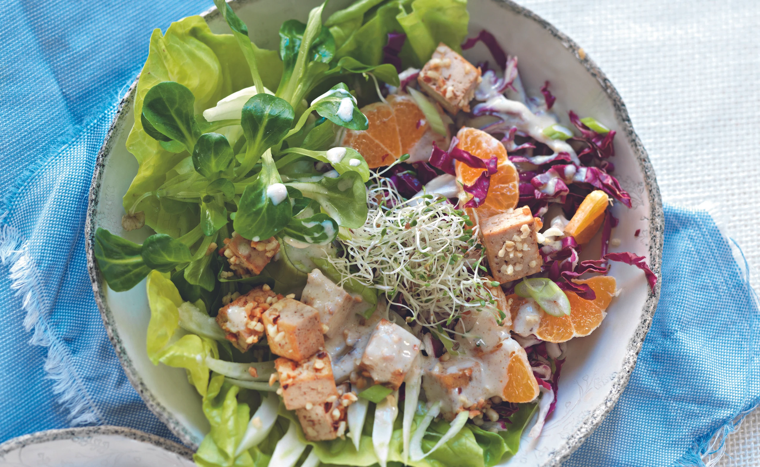 Salat mit Nuss-Tofu und Alfalfa-Sprossen