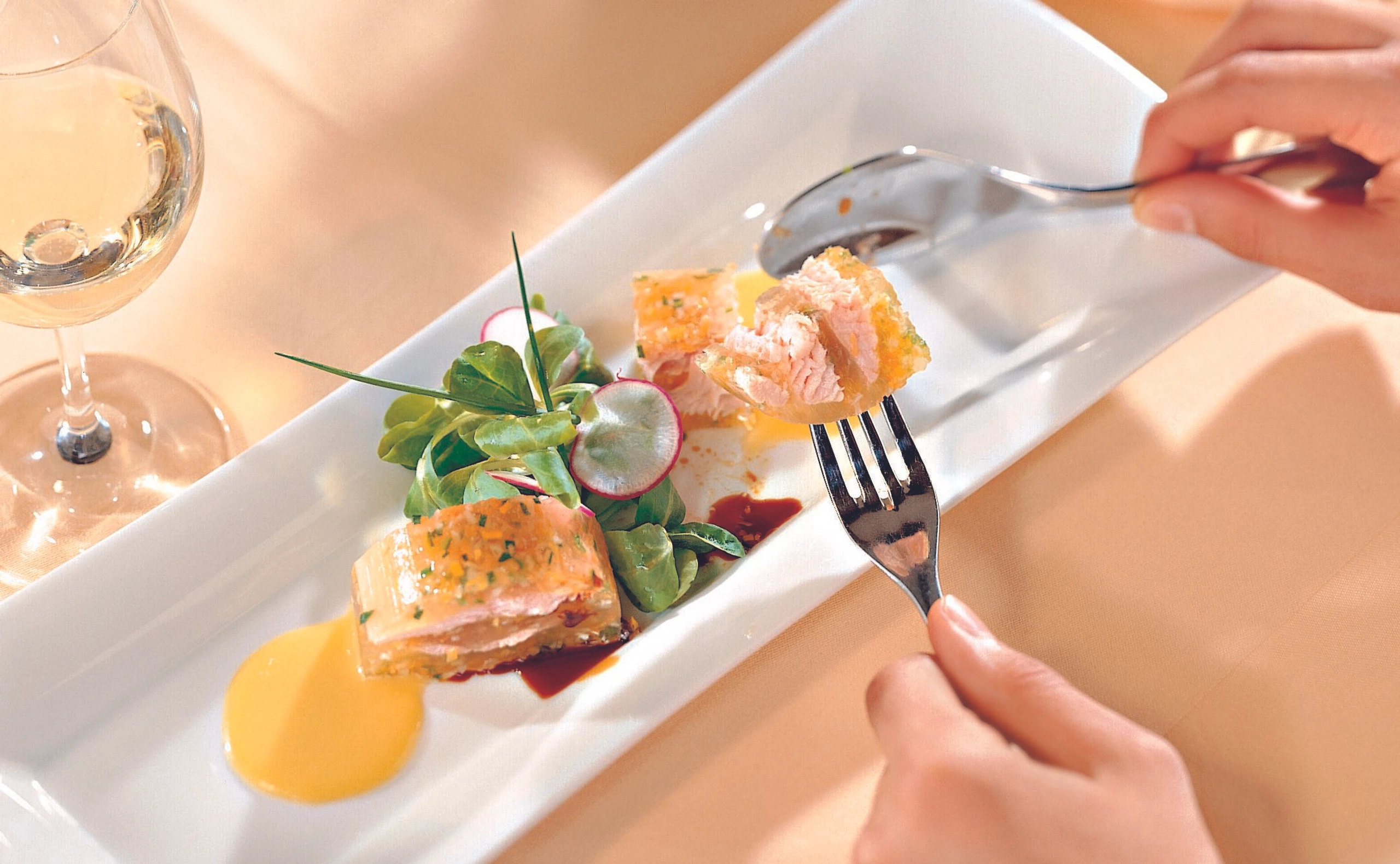 Saiblingssulz mit Vogerlsalat und Mangosauce