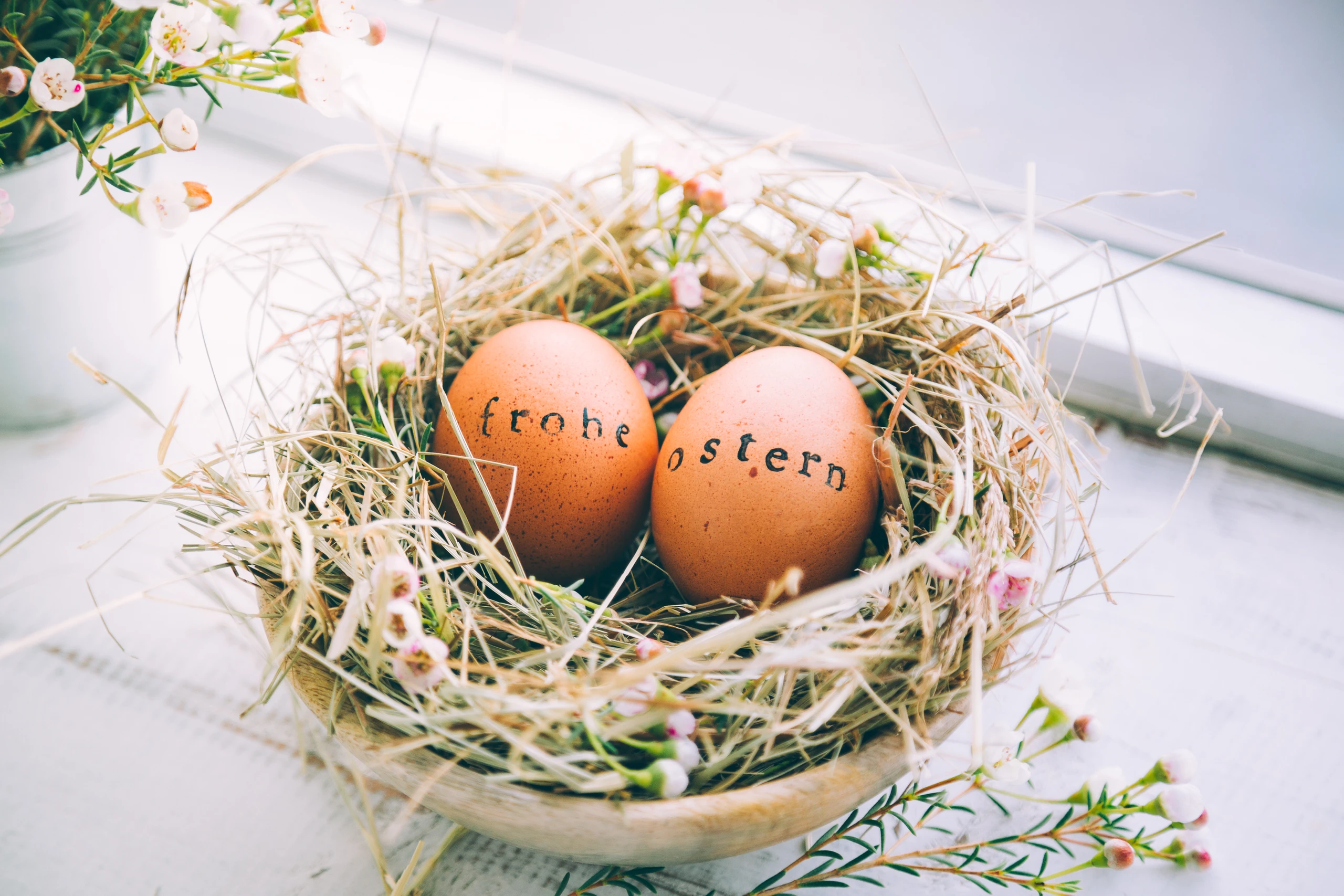 Blurred image background