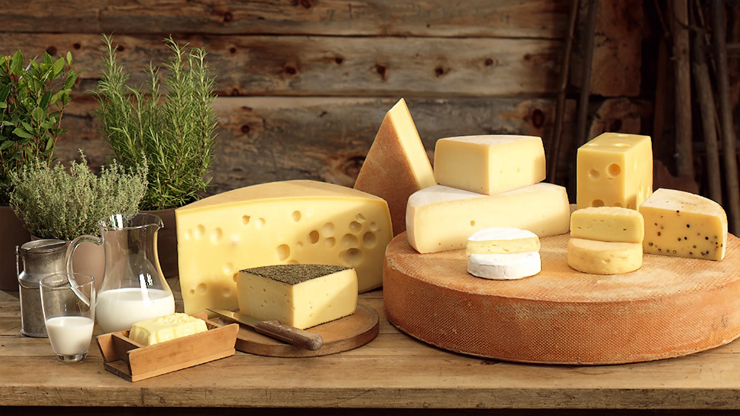 Warum Heumilch der perfekte Rohstoff für Käse ist