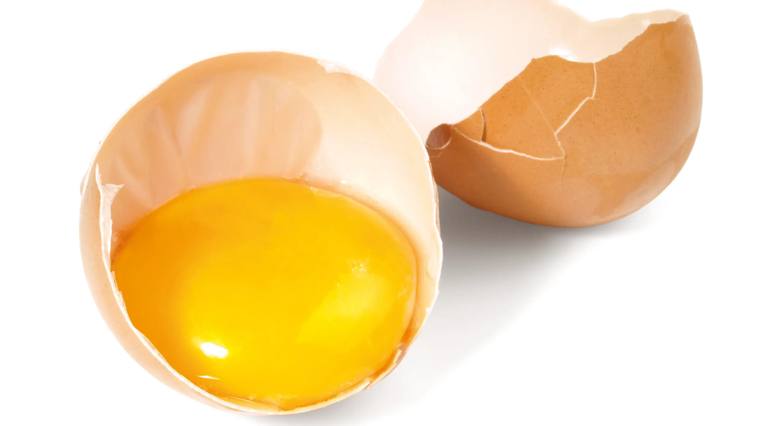 Eier