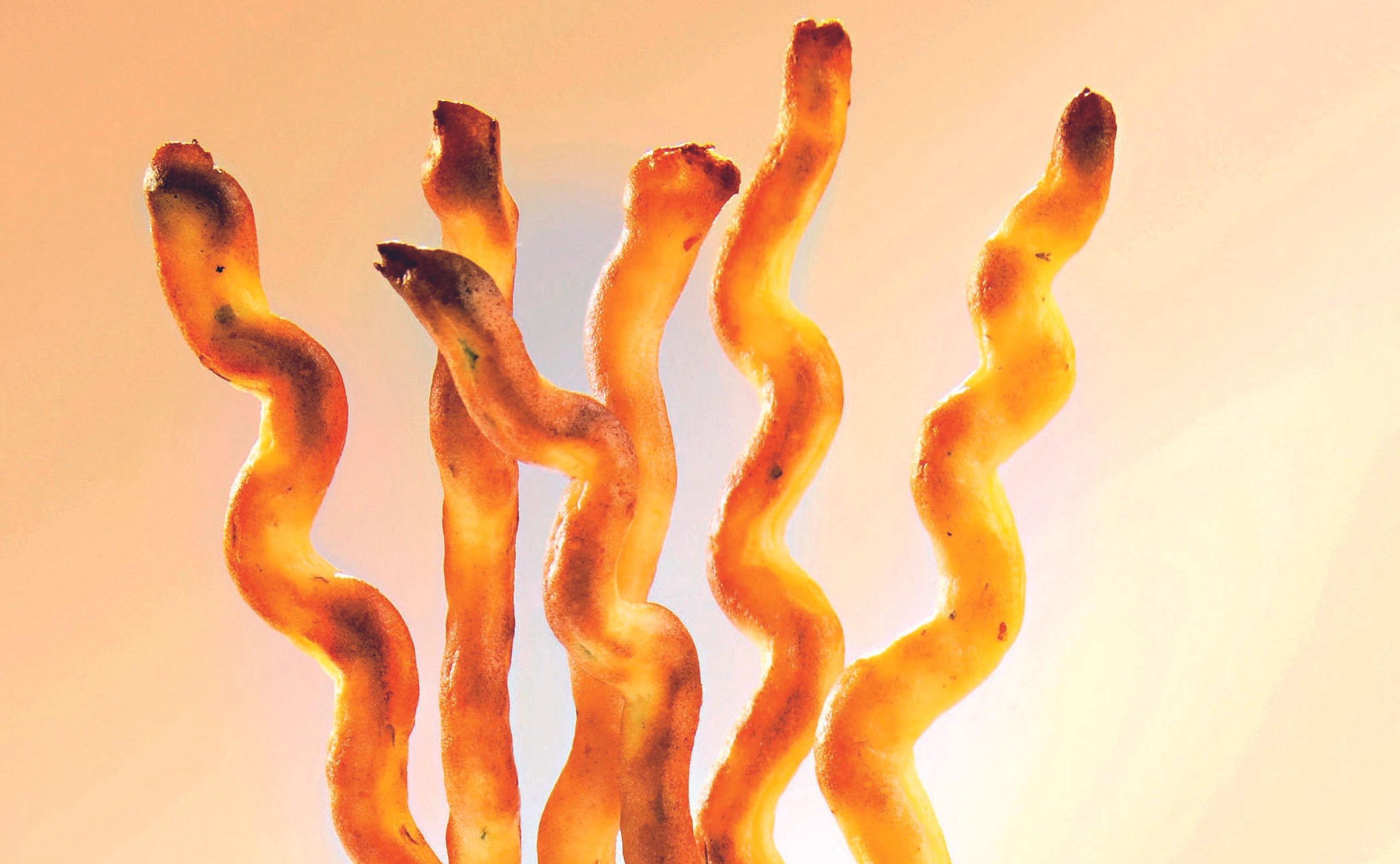 Selbstgemachte Erdäpfel-Grissini