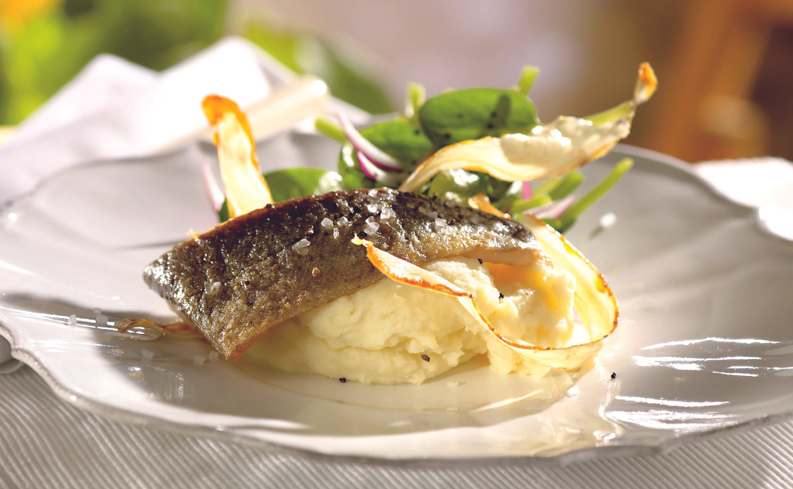 Forelle mit Kren-Erdäpfelpüree und Spinatsalat