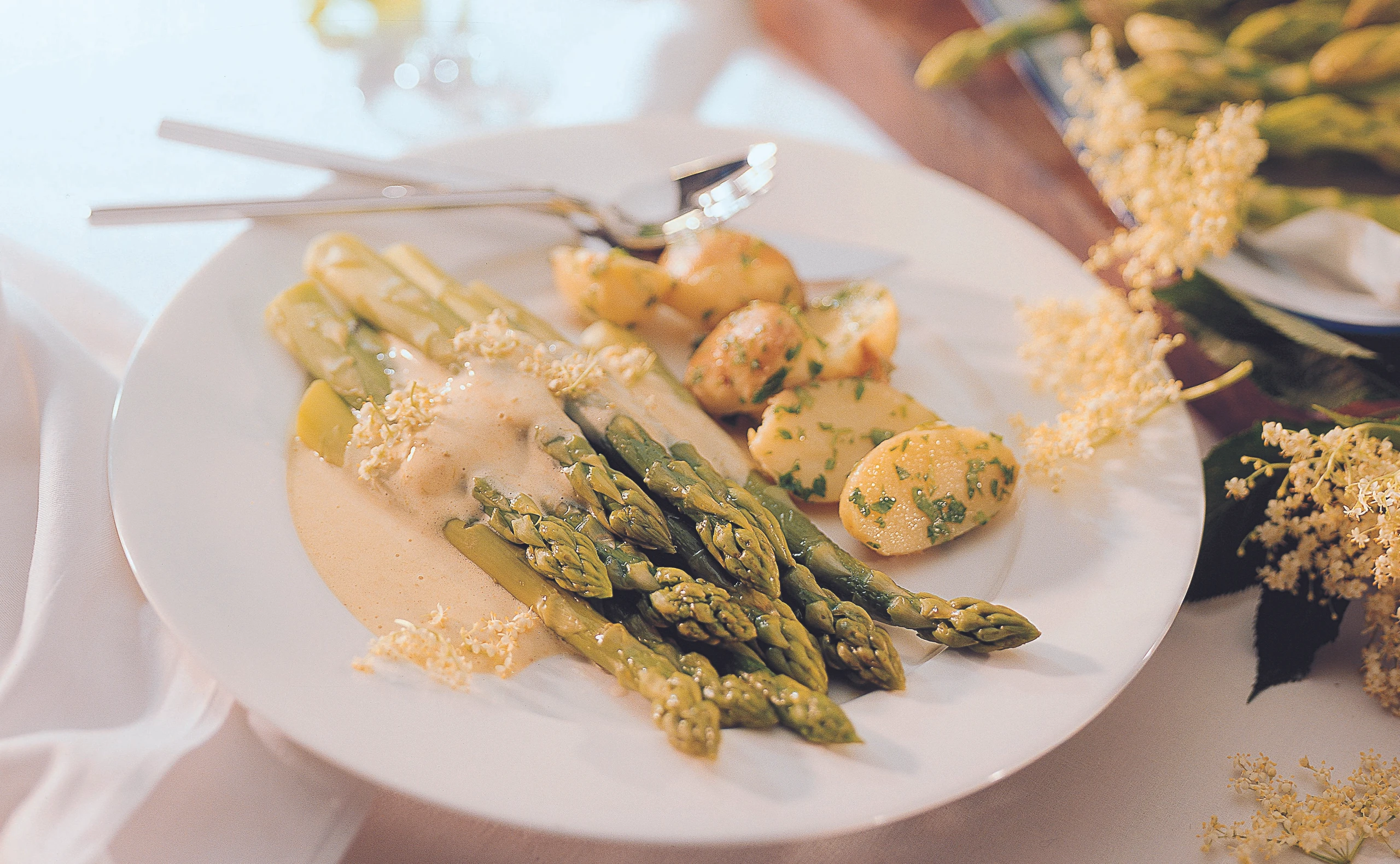 Grüner Spargel mit Holunderblüten-Sabayon