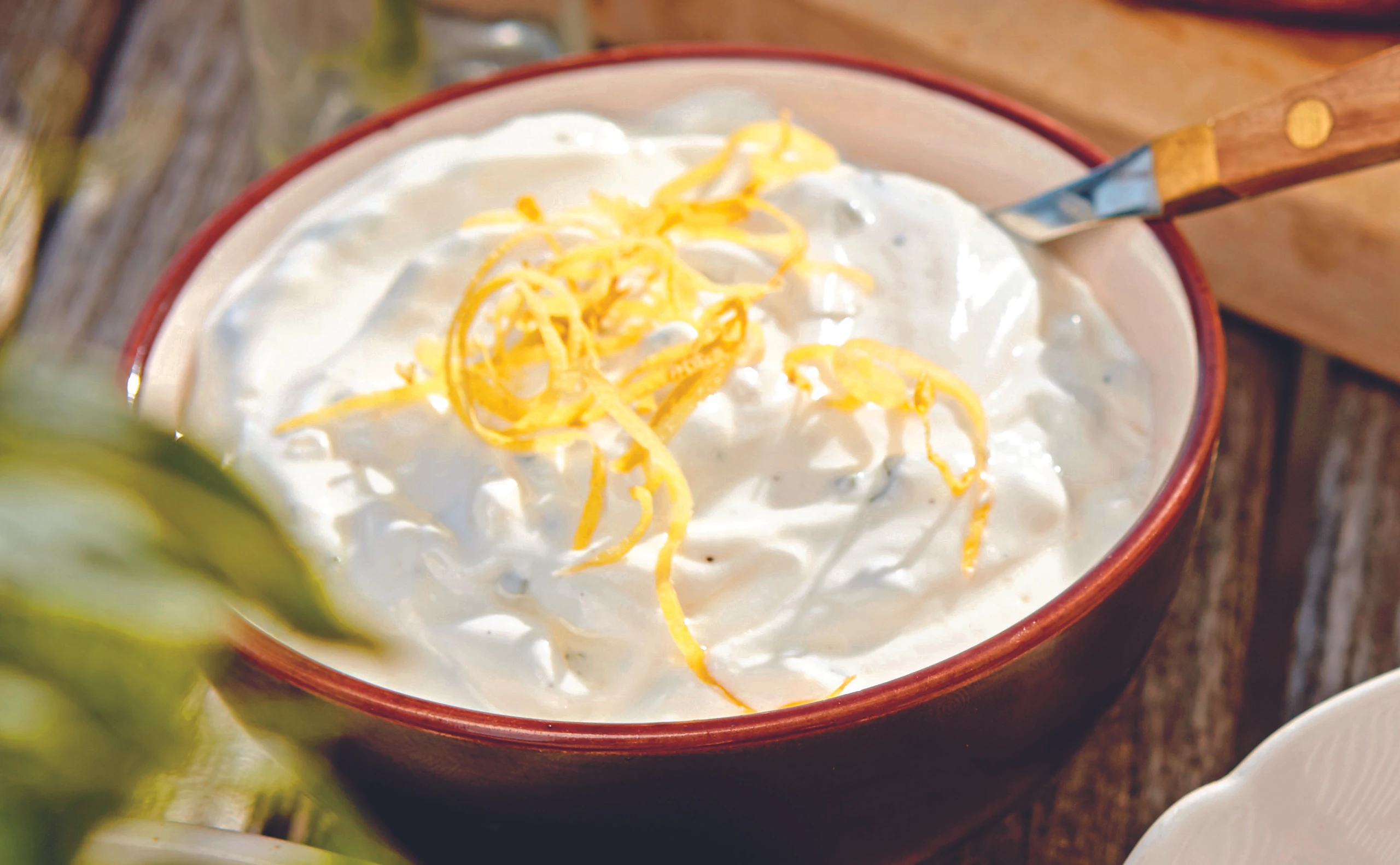 Joghurt-Zitronen-Dip