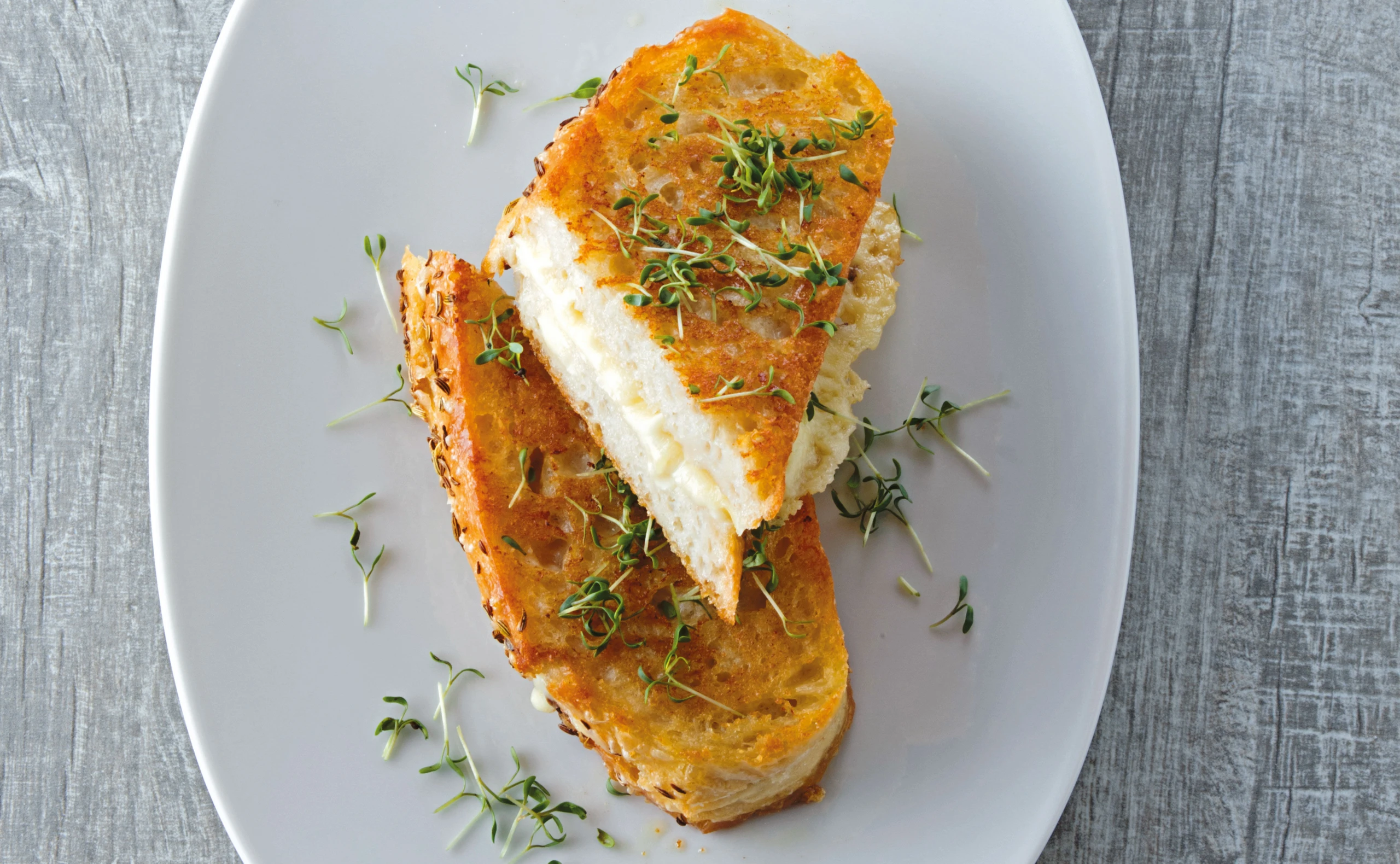 Gebratenes Käse-Sandwich