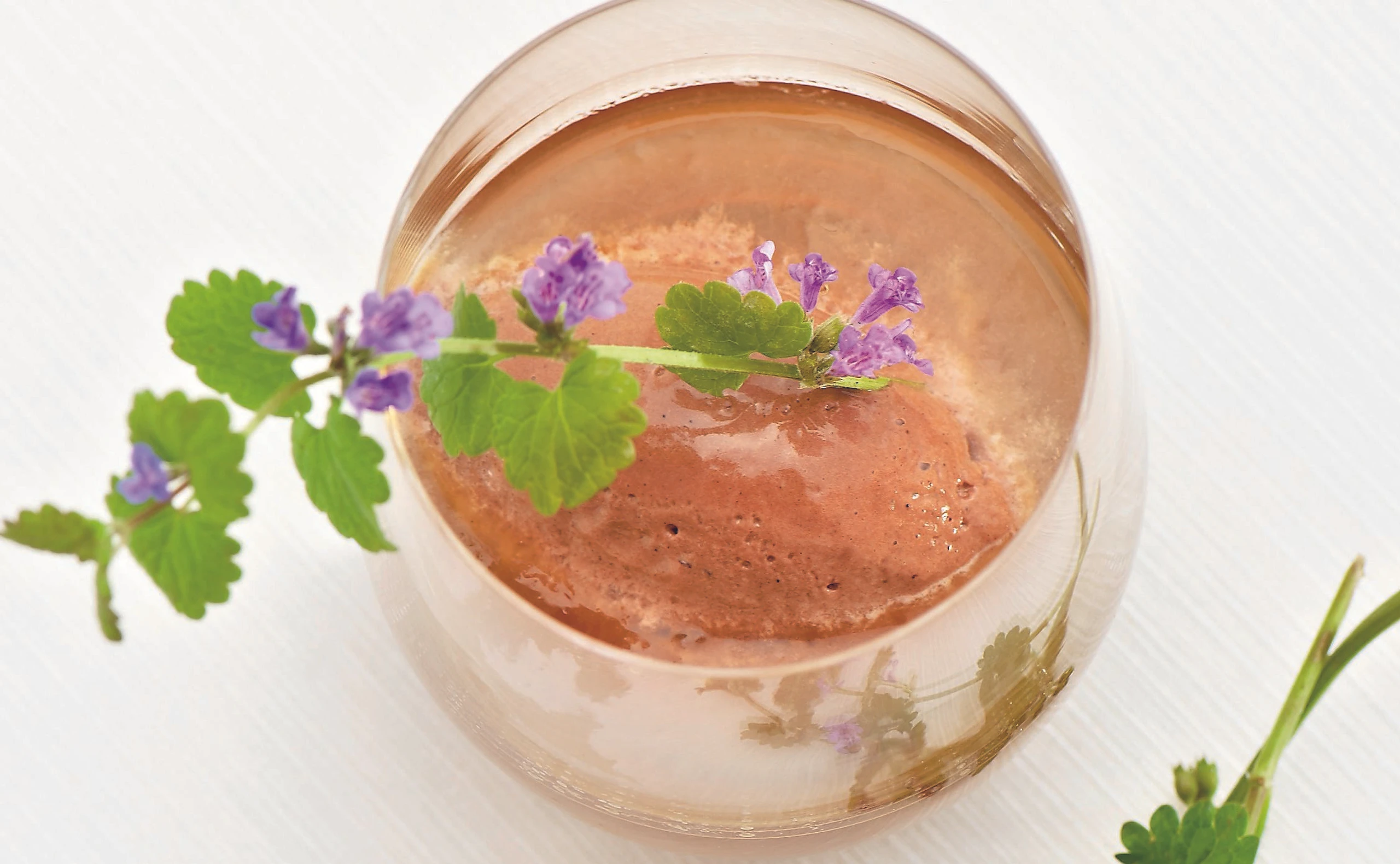 Gundelreben-Eistee mit Schokomousse