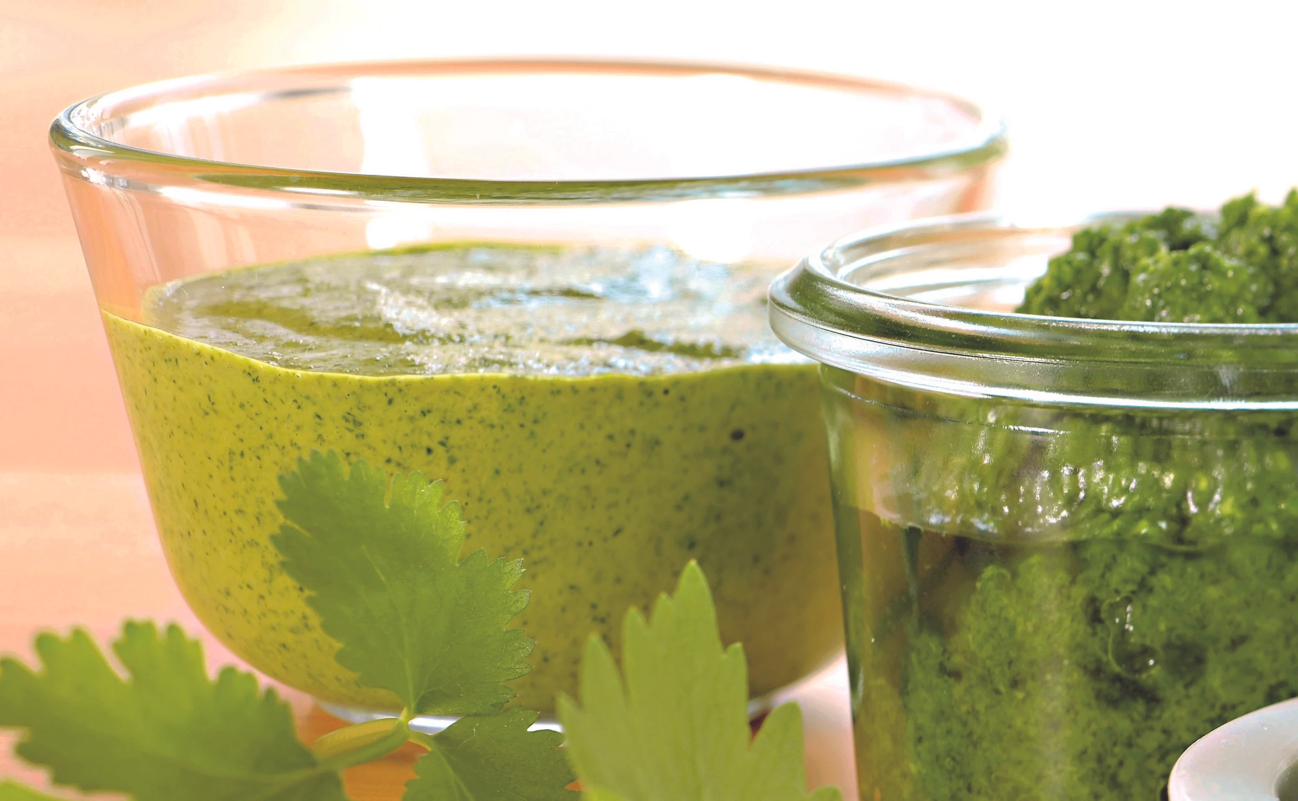 Koriander-Kokos-Pesto