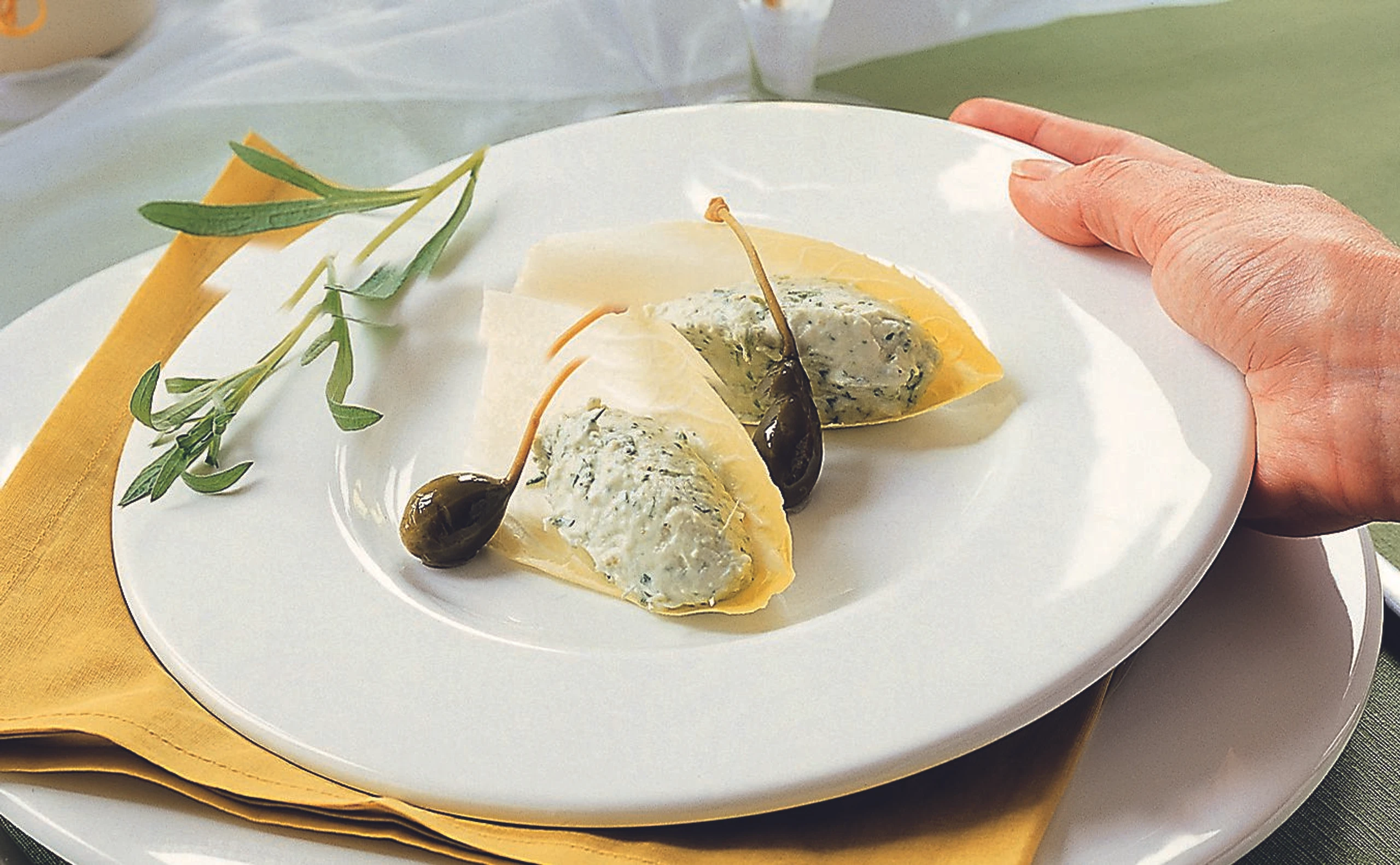 Chicorée mit Estragoncreme