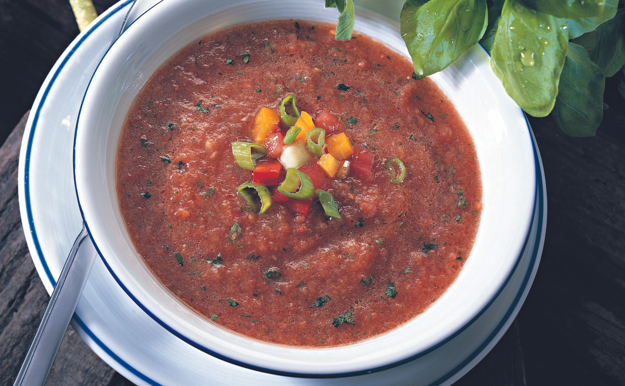 Gazpacho