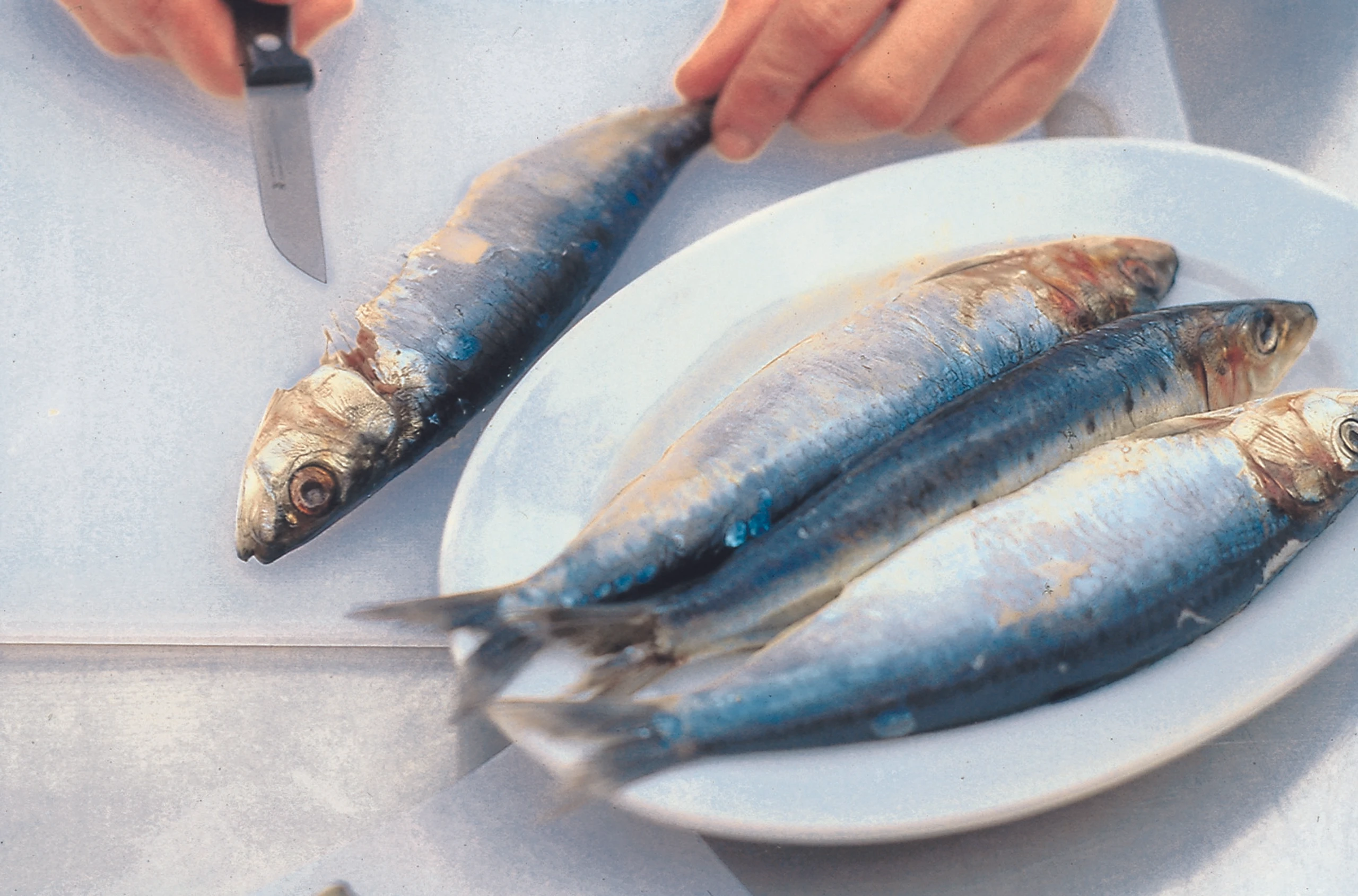 Sardinen vorbereiten und füllen