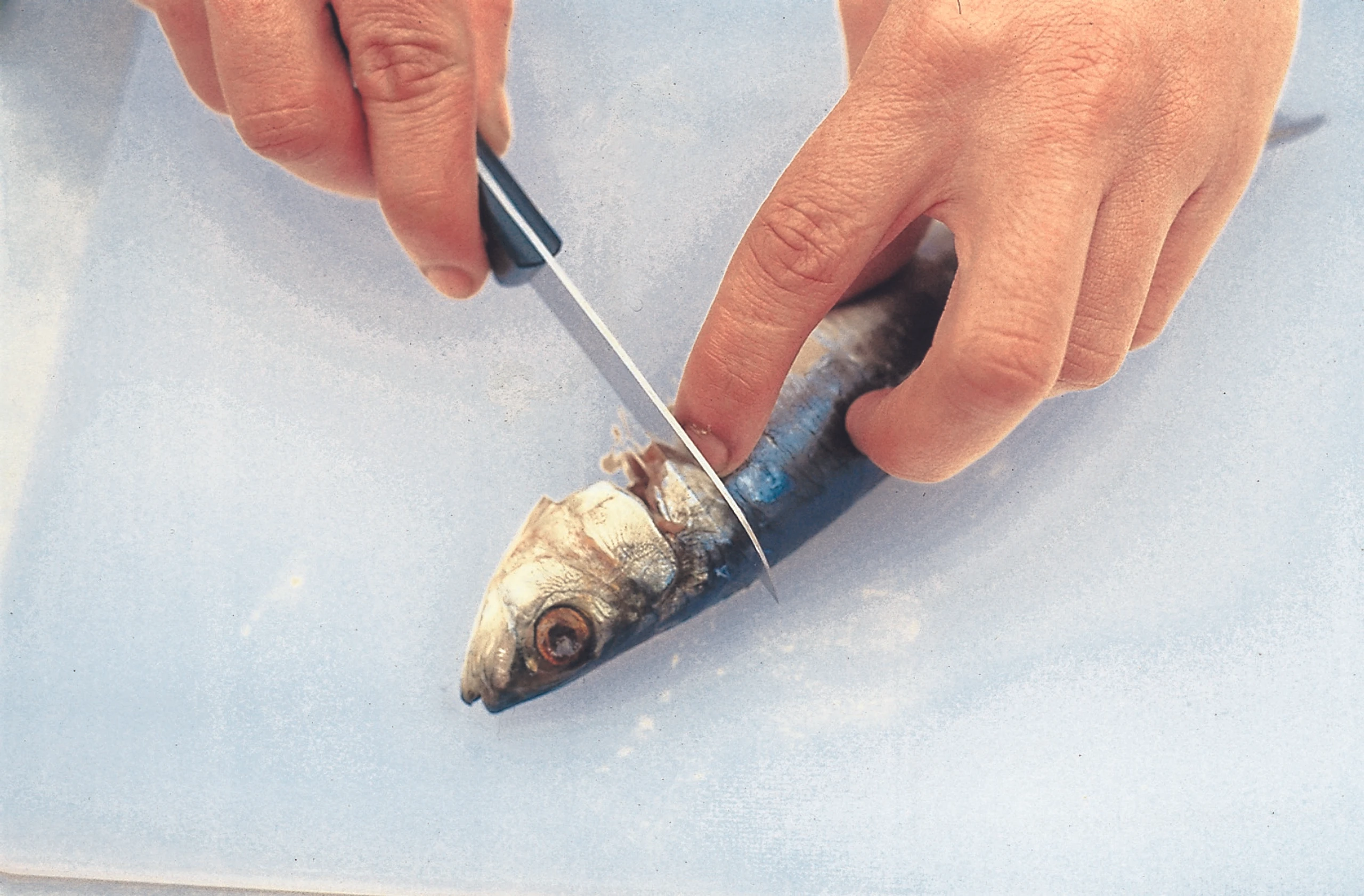 Blurred image background