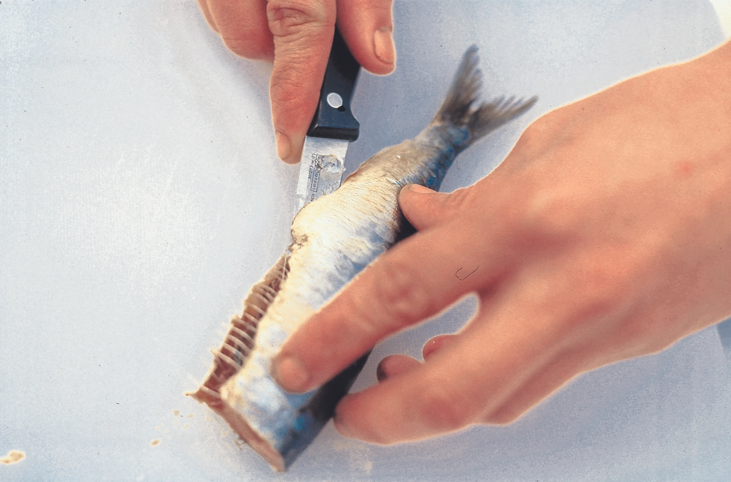 Blurred image background