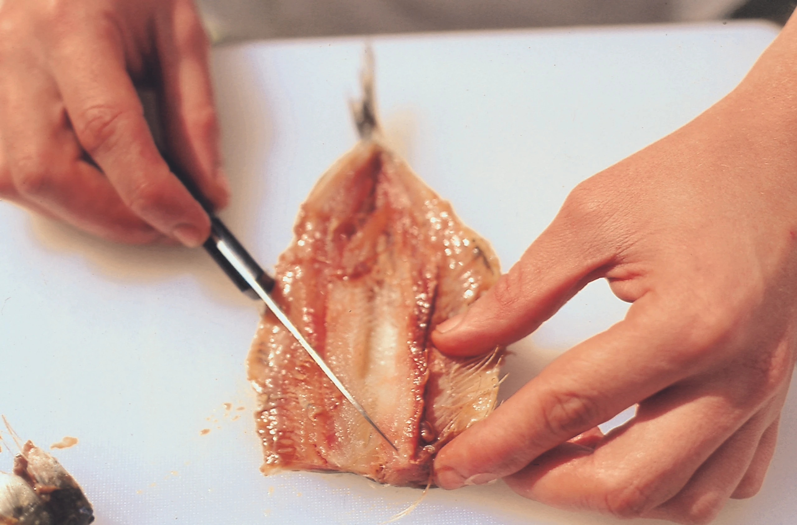 Blurred image background