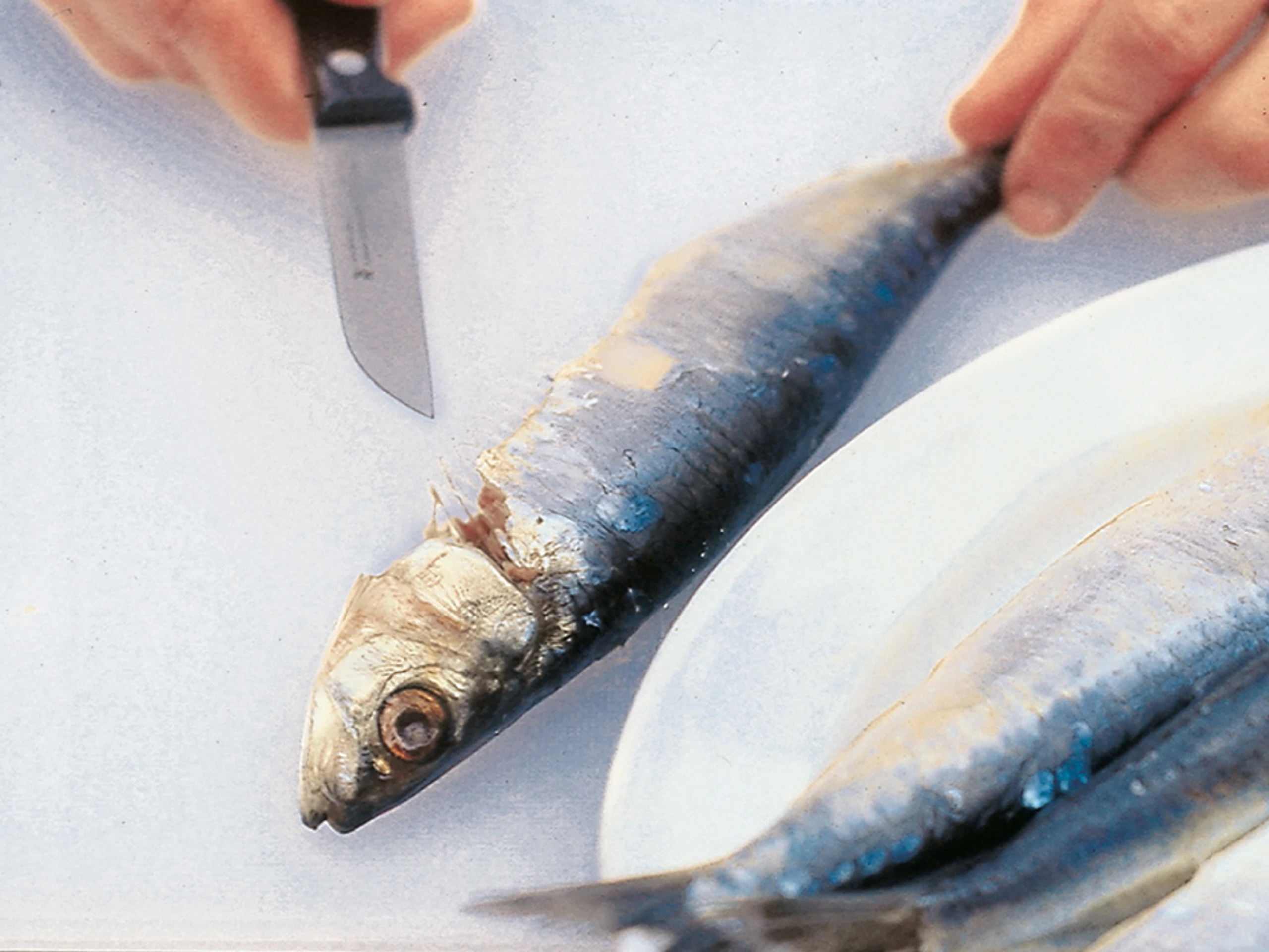 Blurred image background