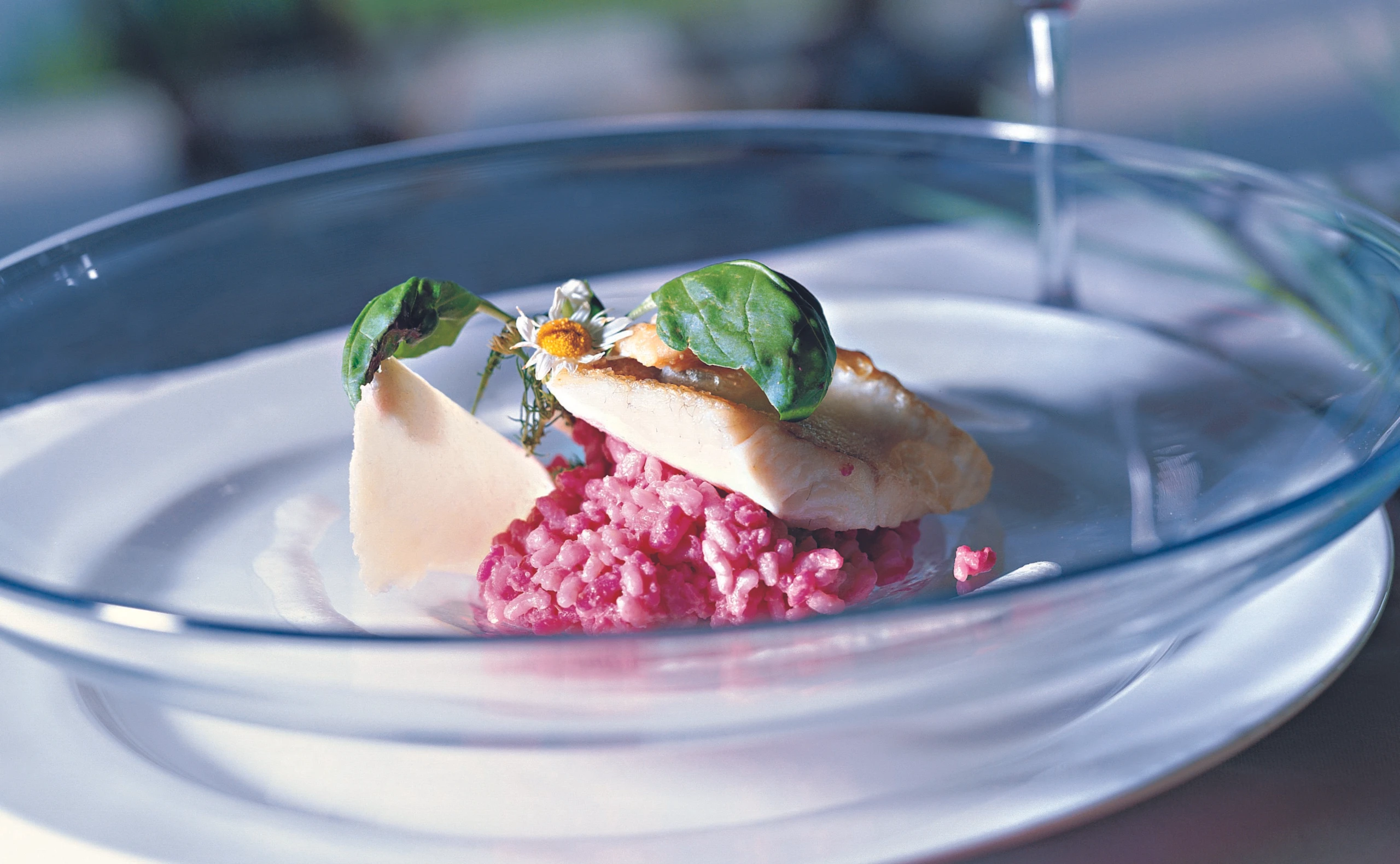 Zander mit Rote-Rüben-Risotto und Krensauce