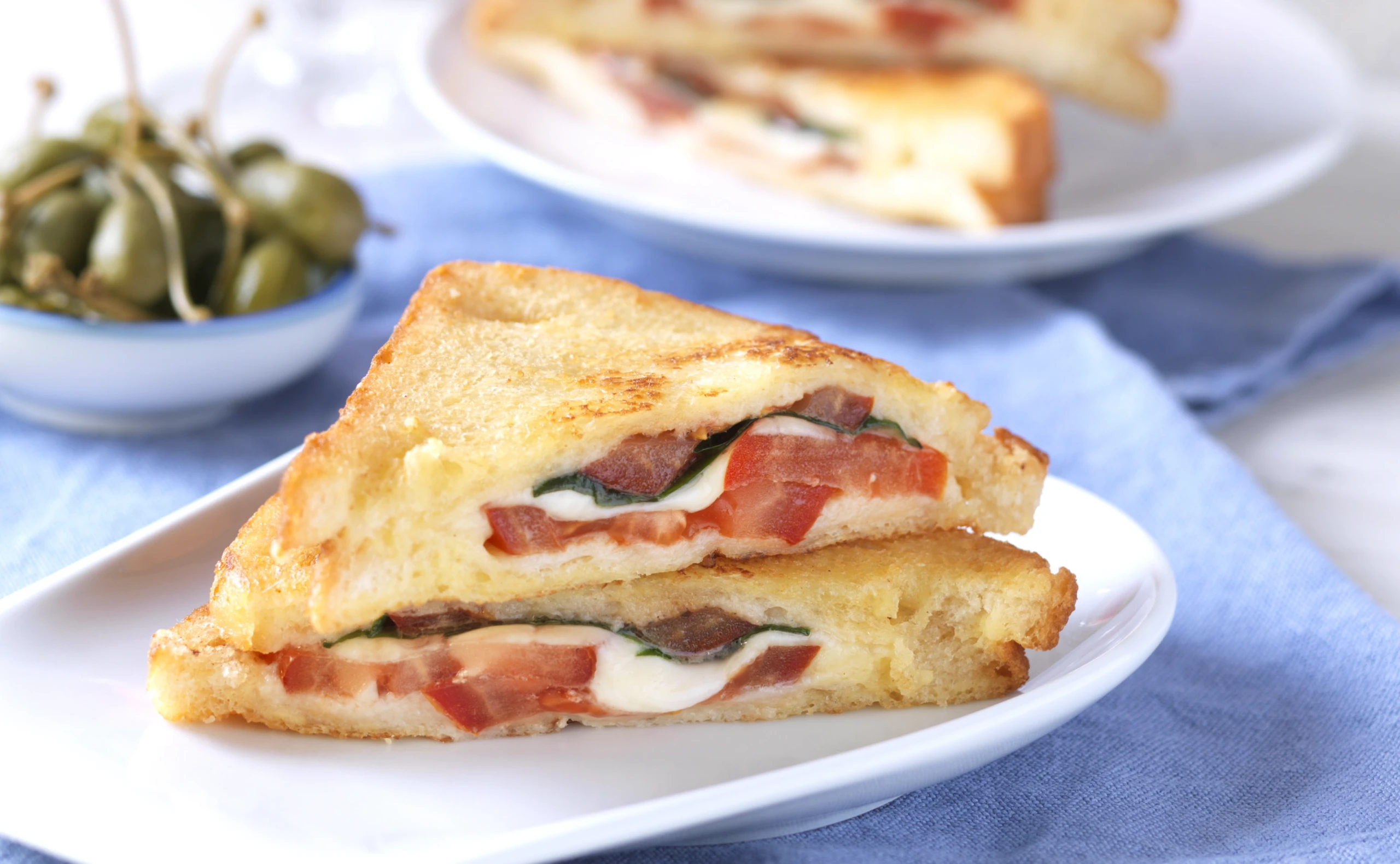 Gebratene Käse-Paradeiserbrote