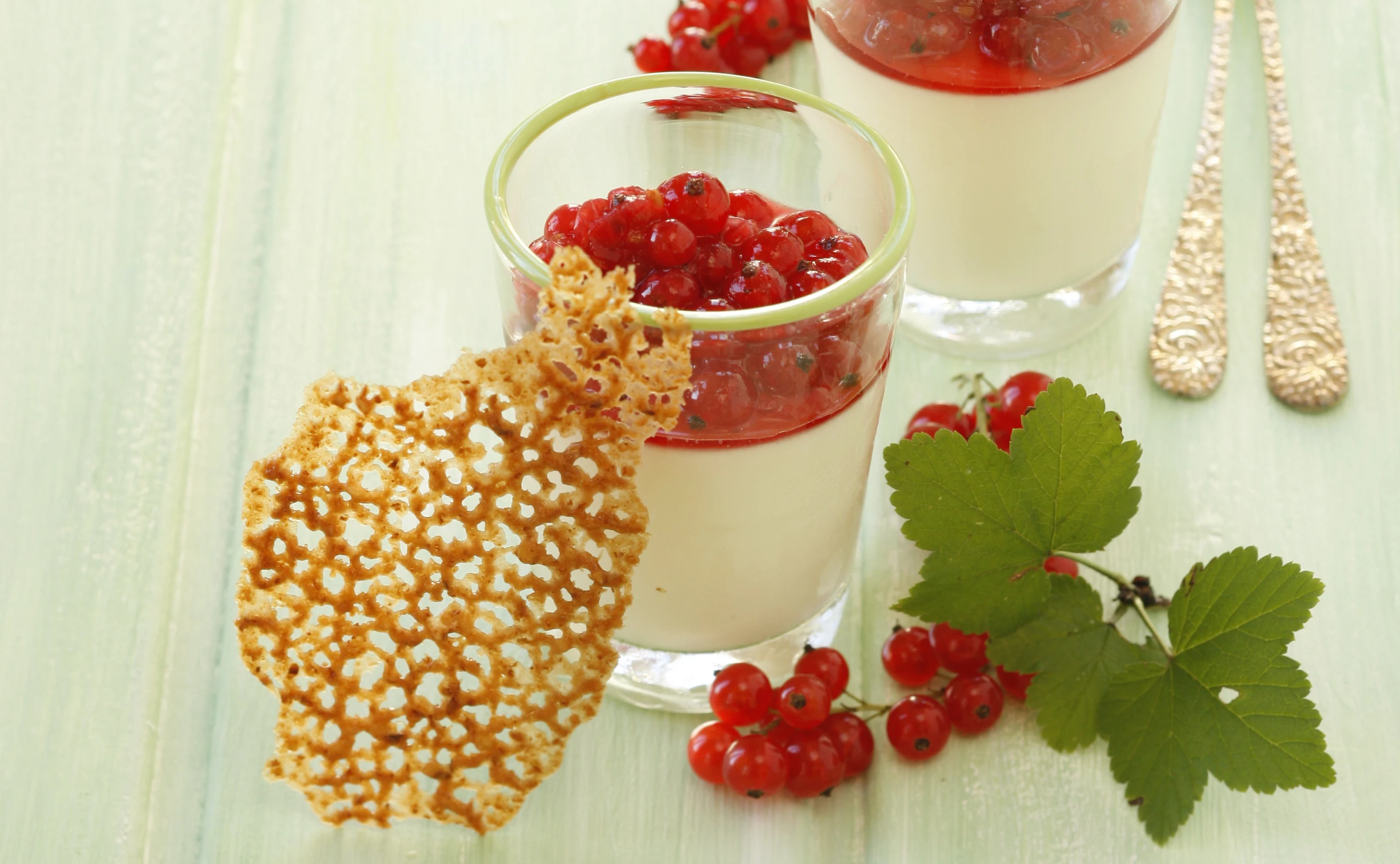 Panna cotta mit Ribiseln