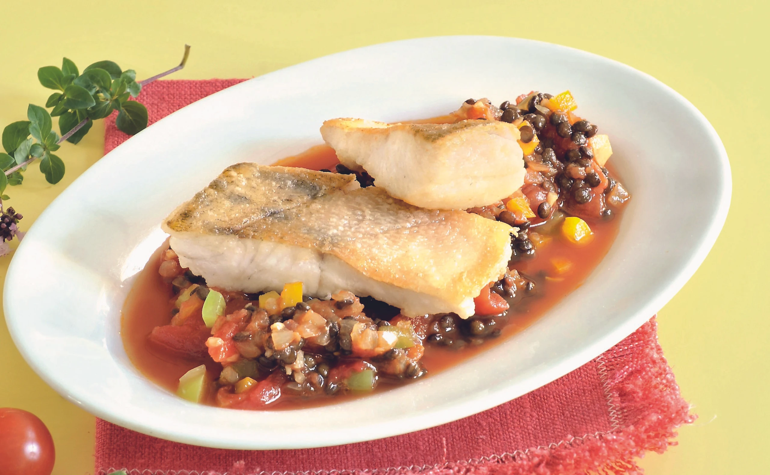 Gebratener Zander mit Paradeis-Linsensauce