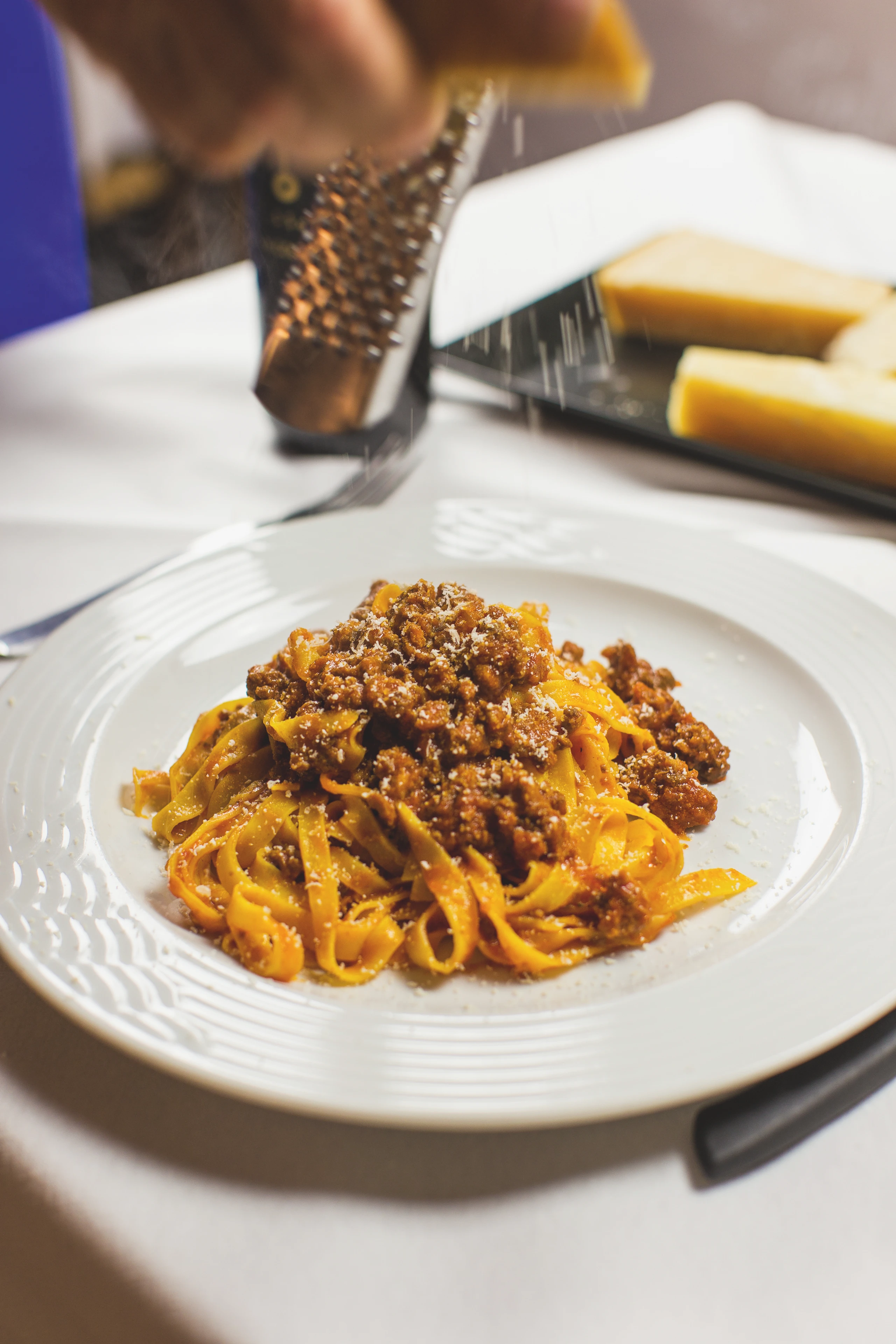 Bolognese