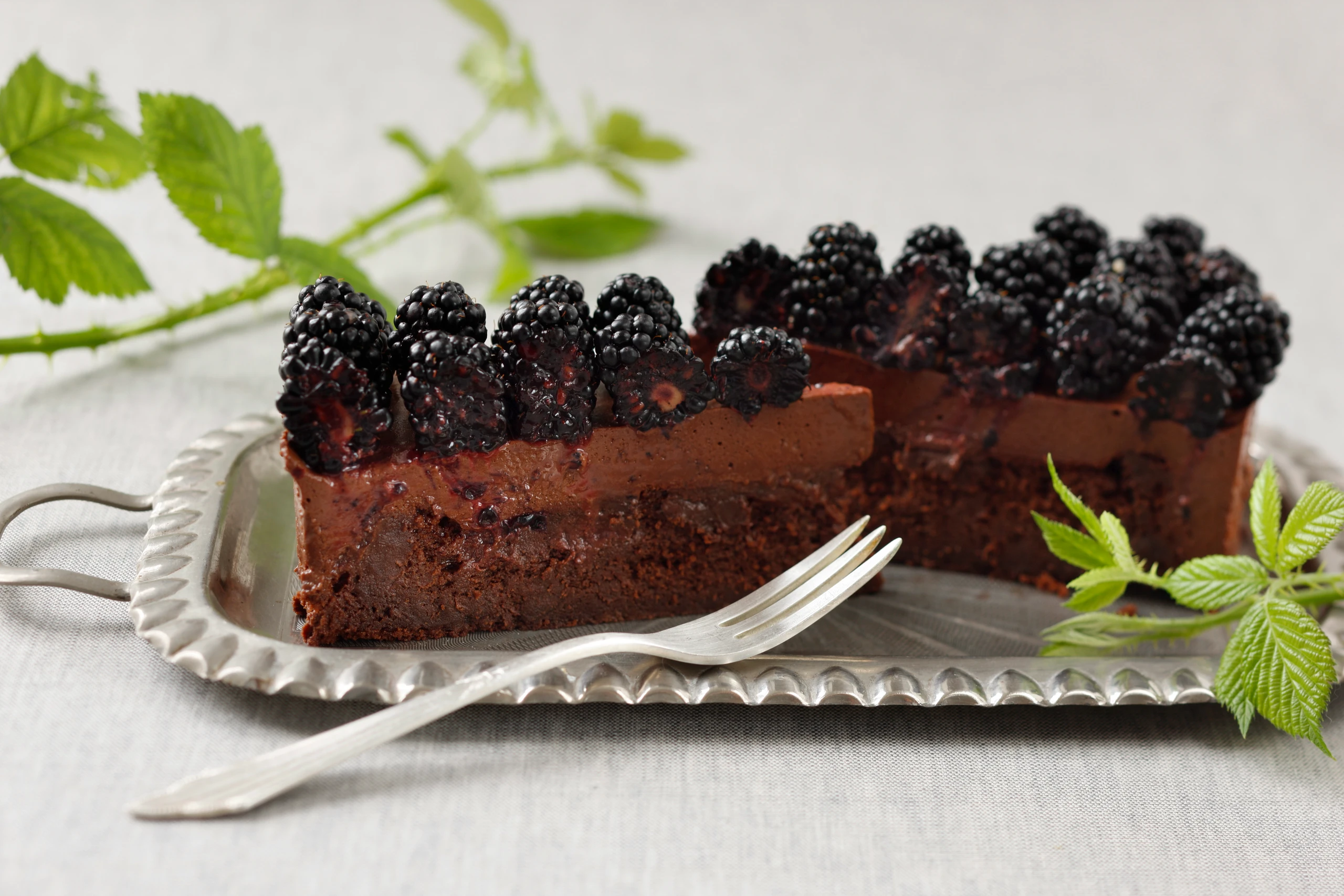 Schokomustorte mit Brombeeren