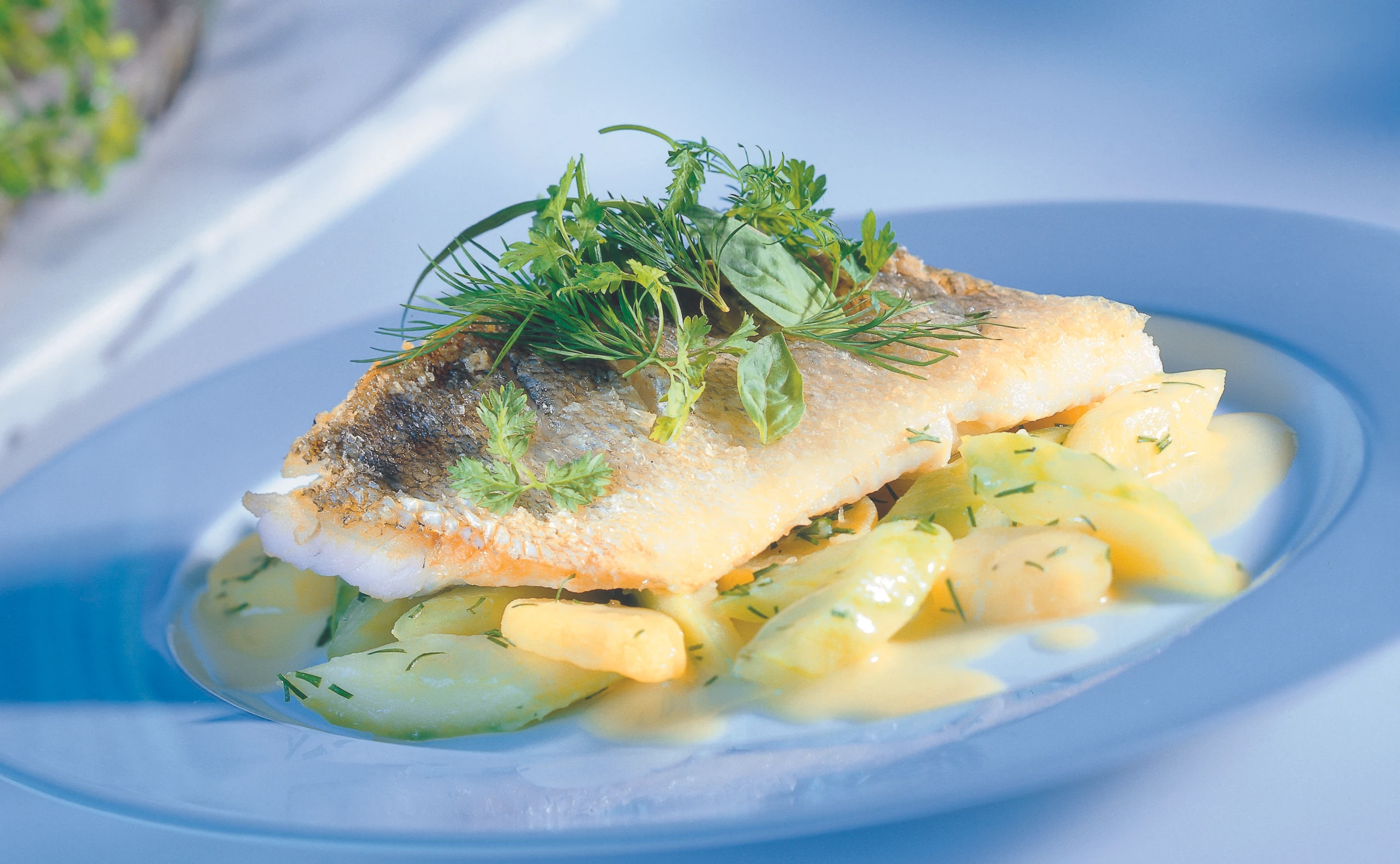 Gebratenes Zanderfilet auf Gurken-Erdäpfeln mit Kräutersalat