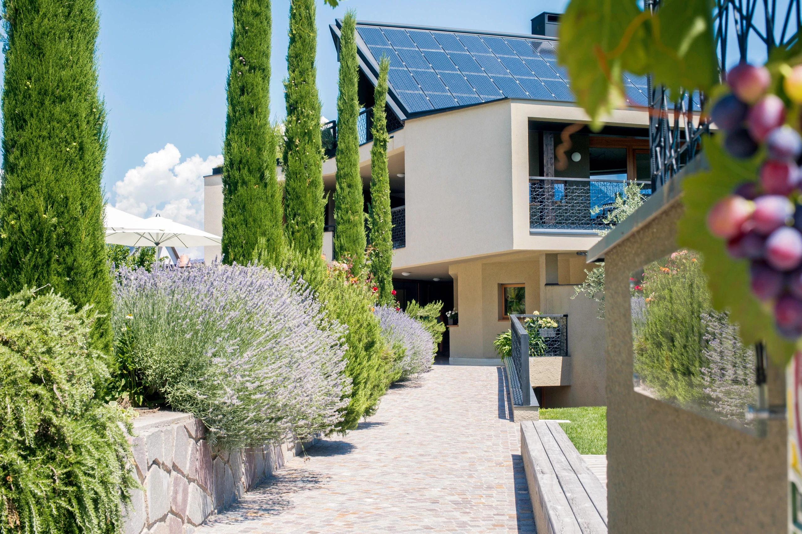 Idyllische Auszeit am Bio-Weingut